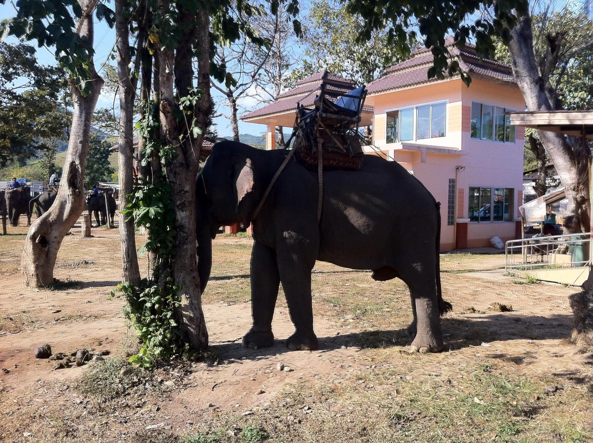 Ban Lom Jen Homestay Chiang Rai Exterior foto